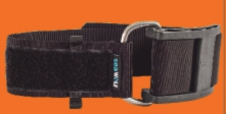 Sea Wolf Stage Belt