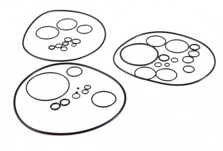 Set of O-rings